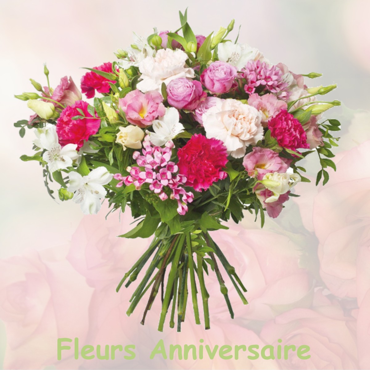 fleurs anniversaire VILLENEUVE-DE-MARSAN