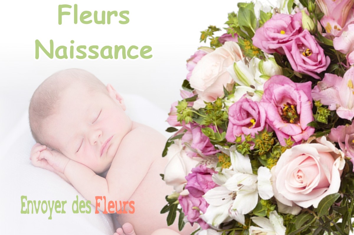 lIVRAISON FLEURS NAISSANCE à VILLENEUVE-DE-MARSAN