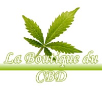 LA BOUTIQUE DU CBD VILLENEUVE-DE-MARSAN 